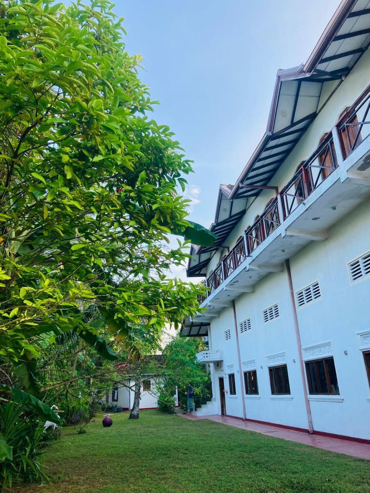 Skywalker Guest House Weligama Εξωτερικό φωτογραφία